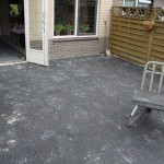 DSC01877